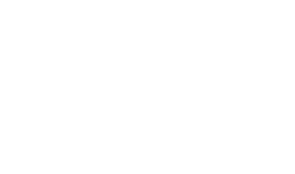 Premier Pools & Spas